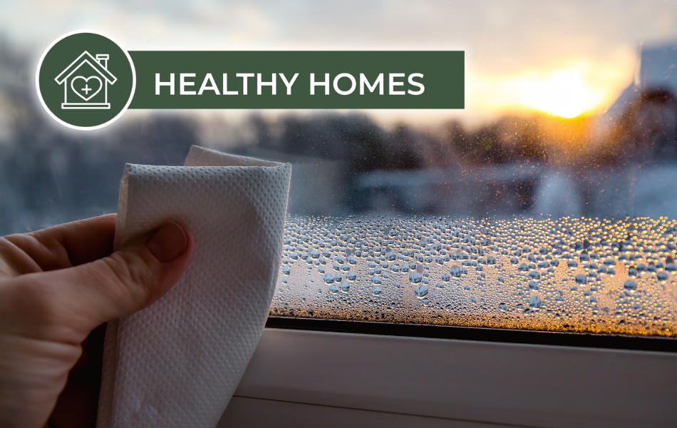 nhmf%2Dhhhpartners%2D12